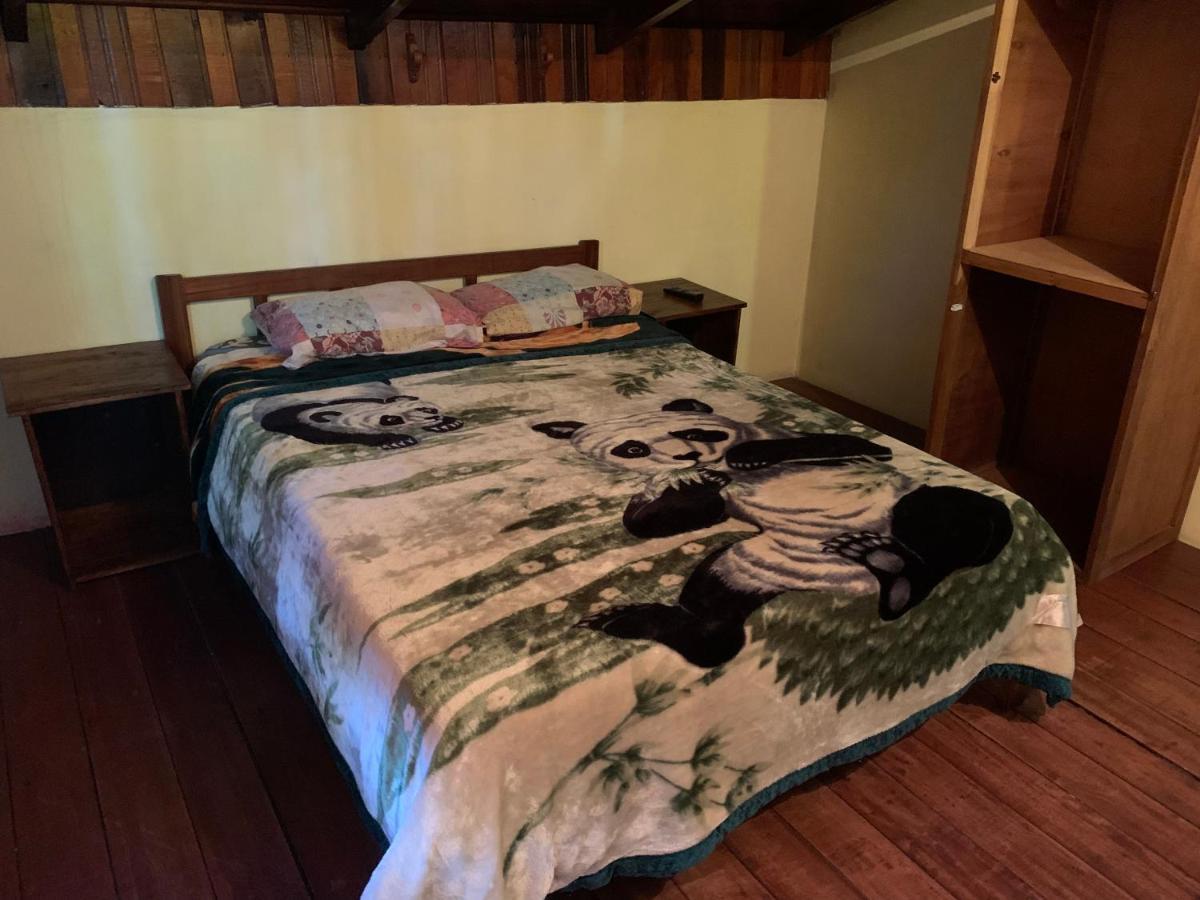 Litt Iguazu Hostal Puerto Iguazú Zewnętrze zdjęcie