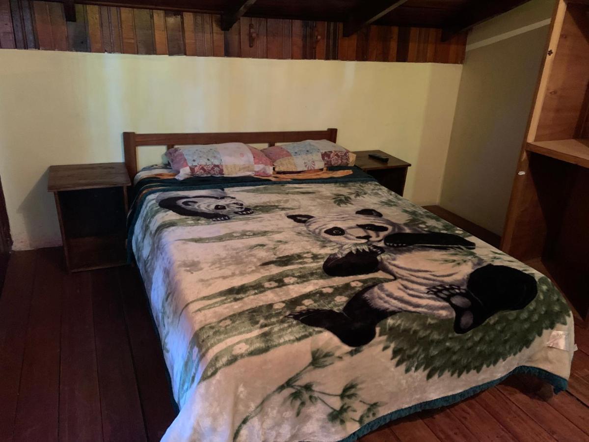 Litt Iguazu Hostal Puerto Iguazú Zewnętrze zdjęcie